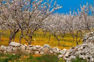 parco primavera by giorgio muscetta