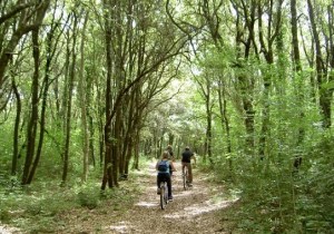 ciclotrekking nel bosco_coop. Serapia (3)
