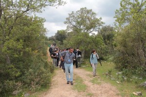 Trekking nel Bosco delle Pianelle